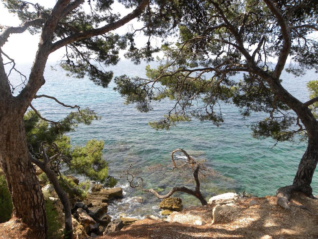 Sun & Sea Apart Bandol Dış mekan fotoğraf